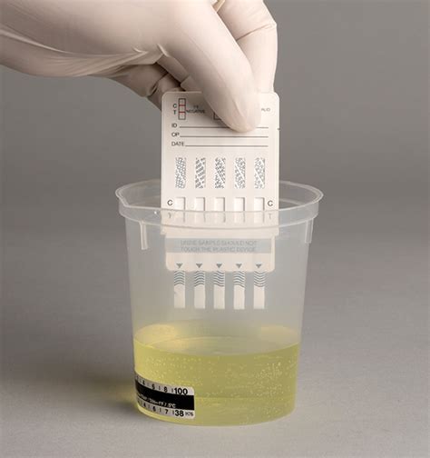 use mini bottle for drug test|hide urine for drug test kit.